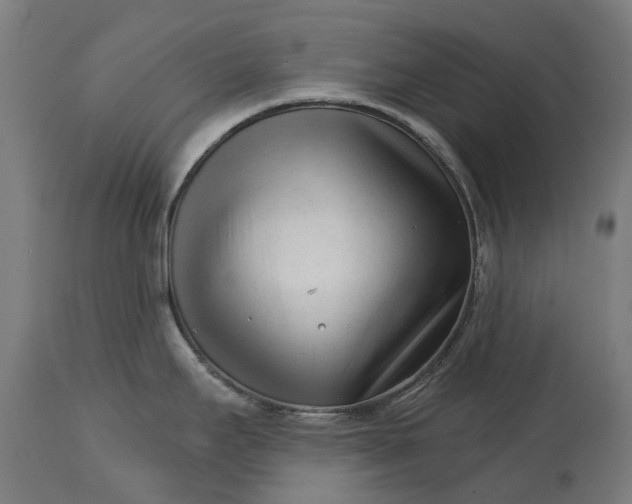 X0000114401295200911131357