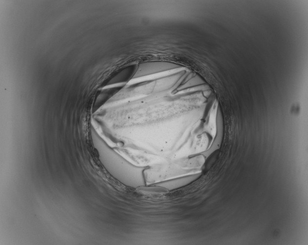 X0000114401298200911131357