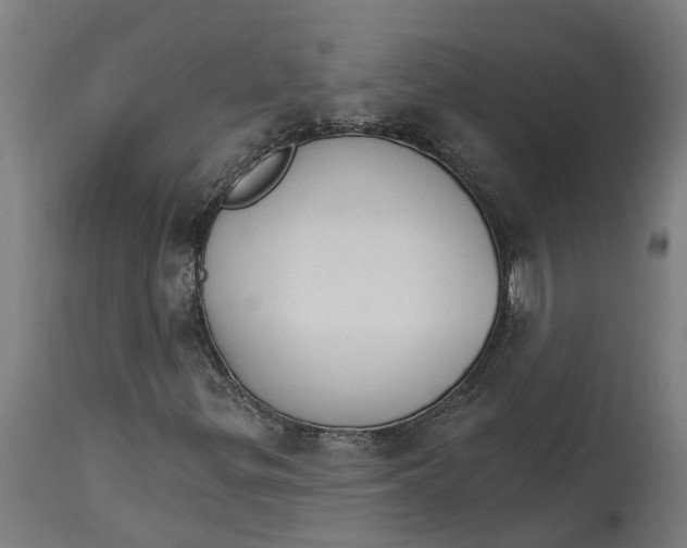 X0000114401299200911131357