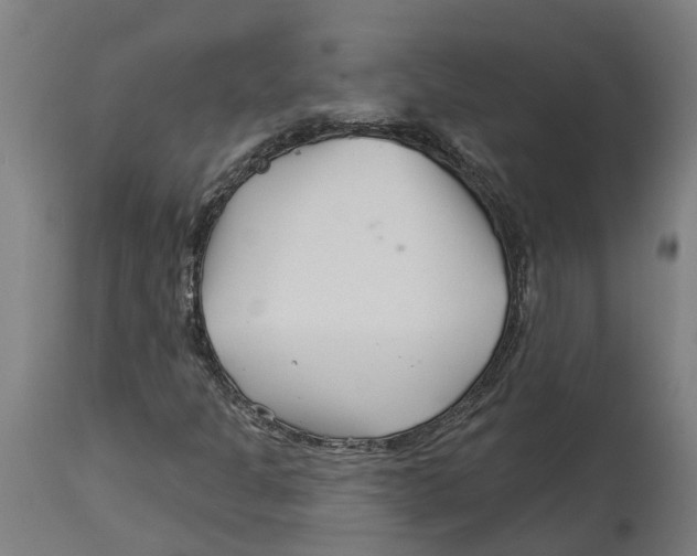 X0000114401301200911131357