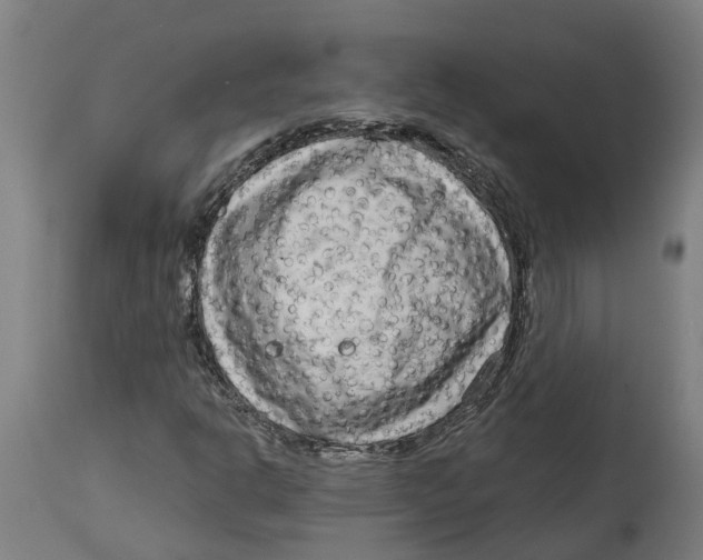 X0000114401302200911131357