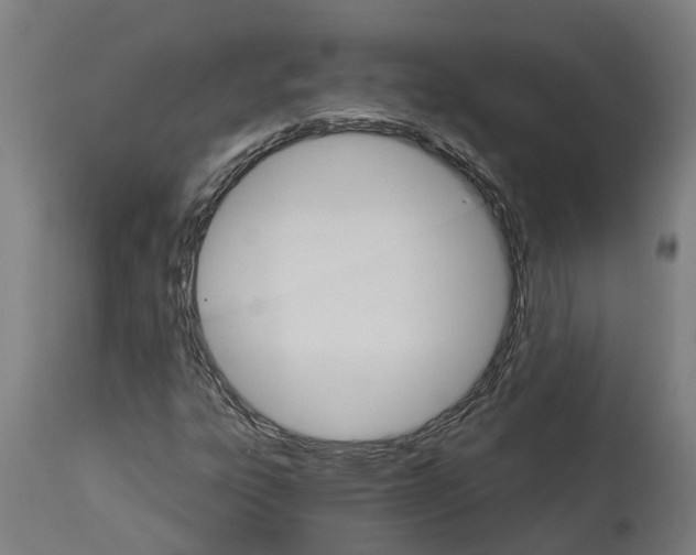 X0000114401303200911131357