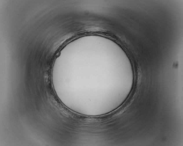 X0000114401305200911131357