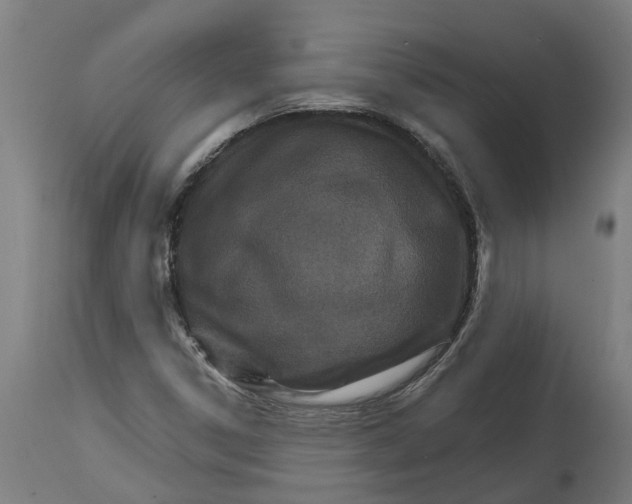 X0000114401306200911131357