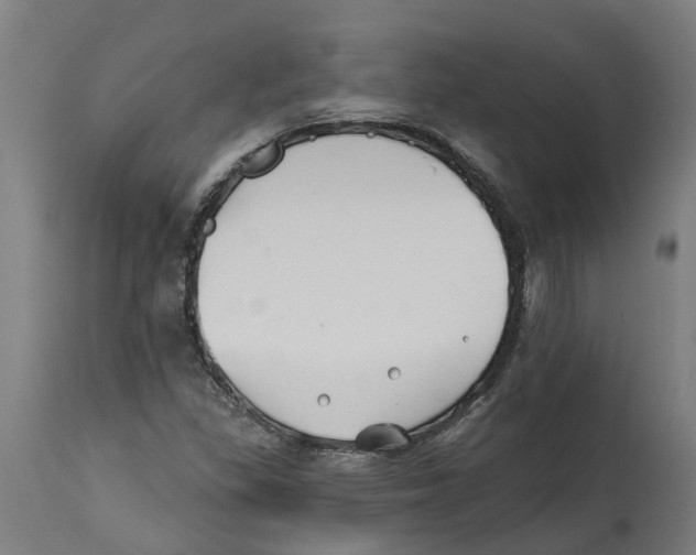 X0000114401309200911131357