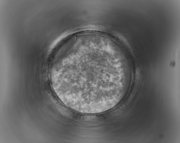 X0000114401310200911131357