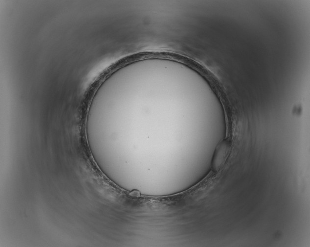 X0000114401311200911131357