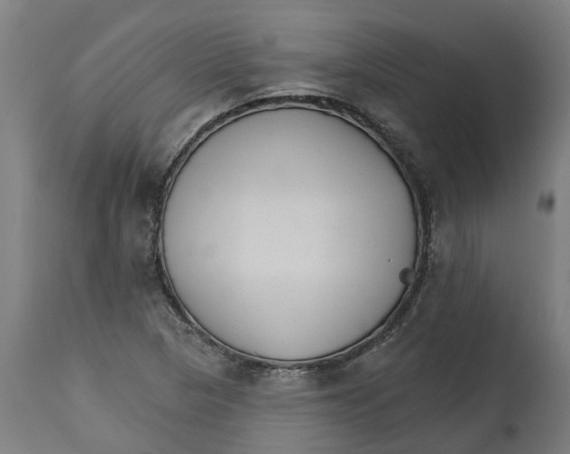 X0000114401313200911131357