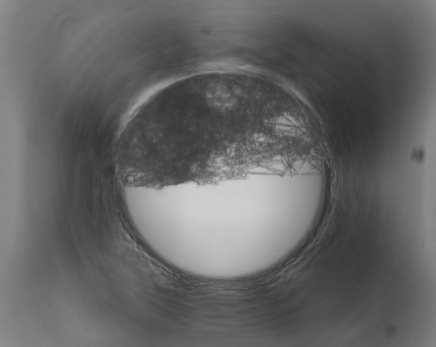 X0000114401315200911131357