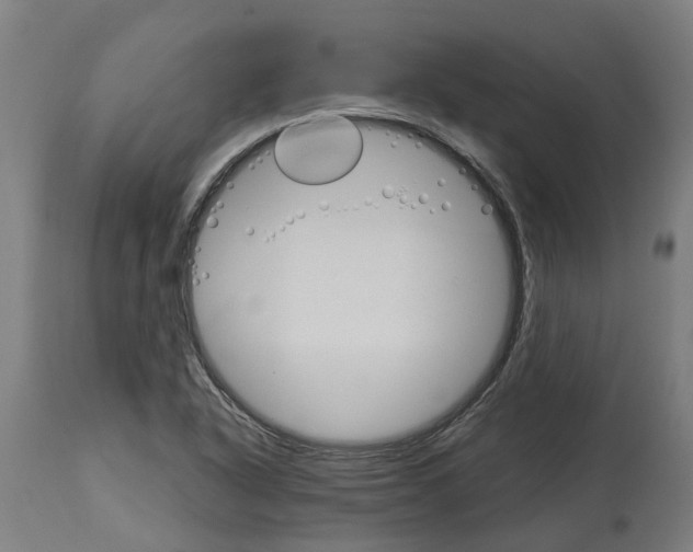 X0000114401318200911131357