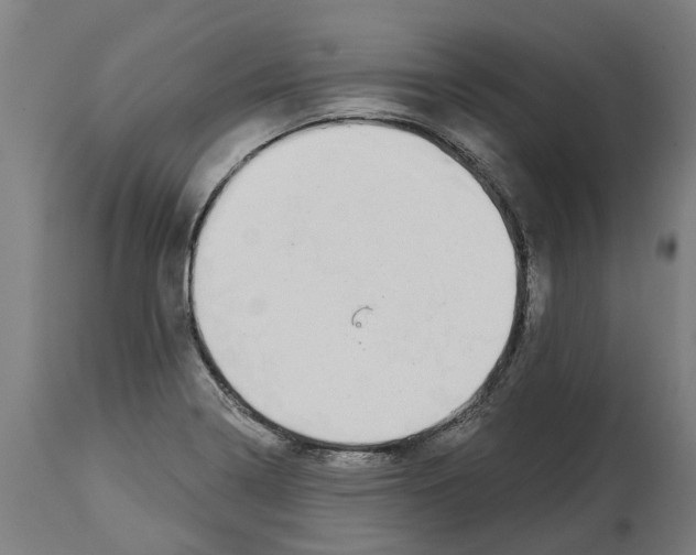 X0000114401322200911131357