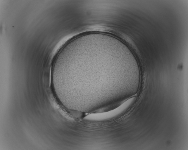 X0000114401323200911131357