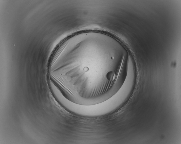 X0000114401326200911131357