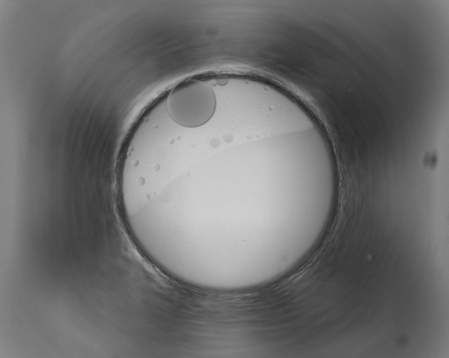 X0000114401327200911131357