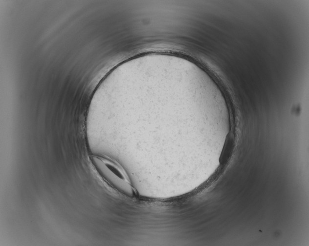 X0000114401329200911131357