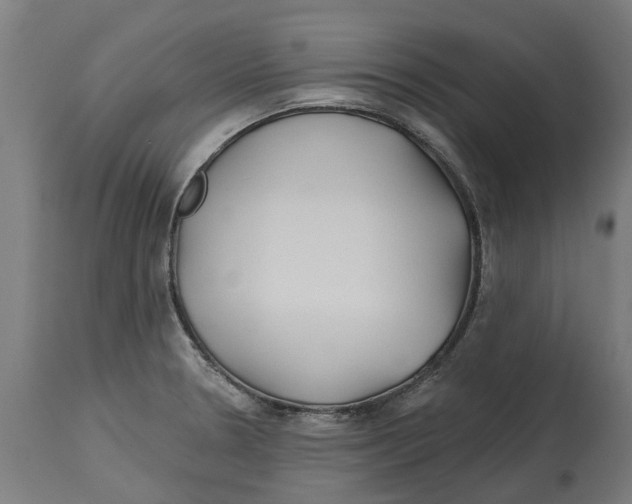 X0000114401330200911131357