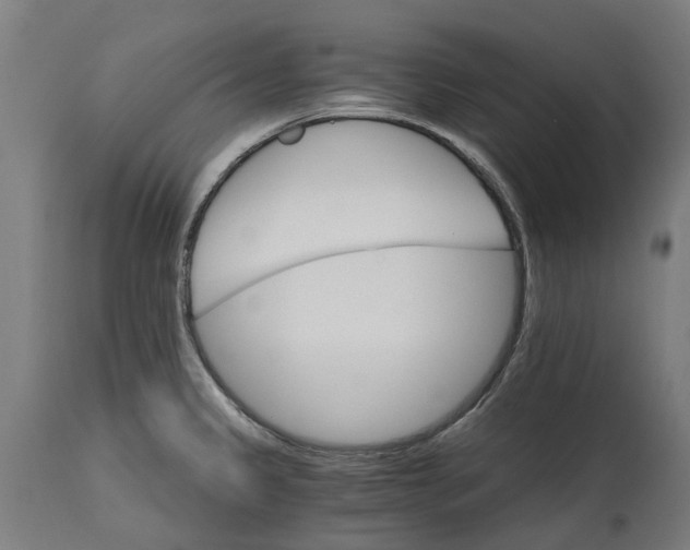 X0000114401333200911131357