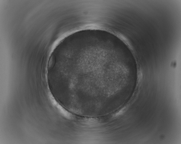 X0000114401334200911131357