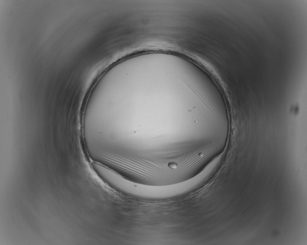 X0000114401335200911131357