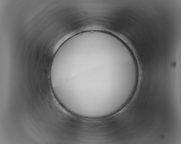 X0000114401337200911131357