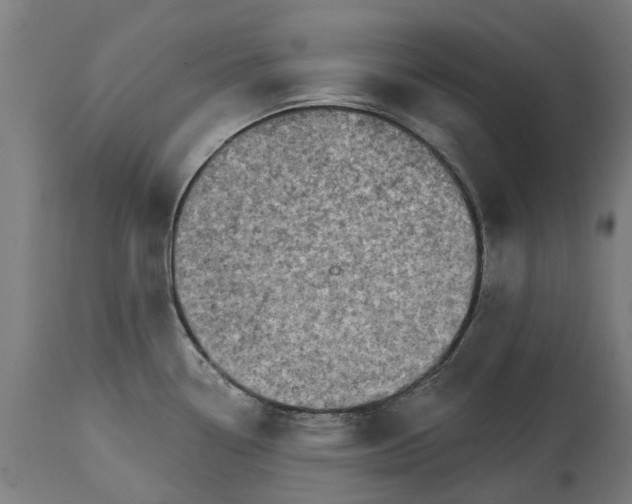 X0000114401338200911131357