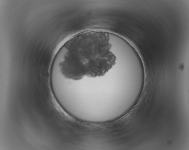 X0000114401341200911131357