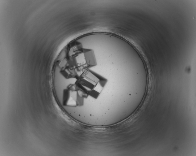 X0000114401342200911131357