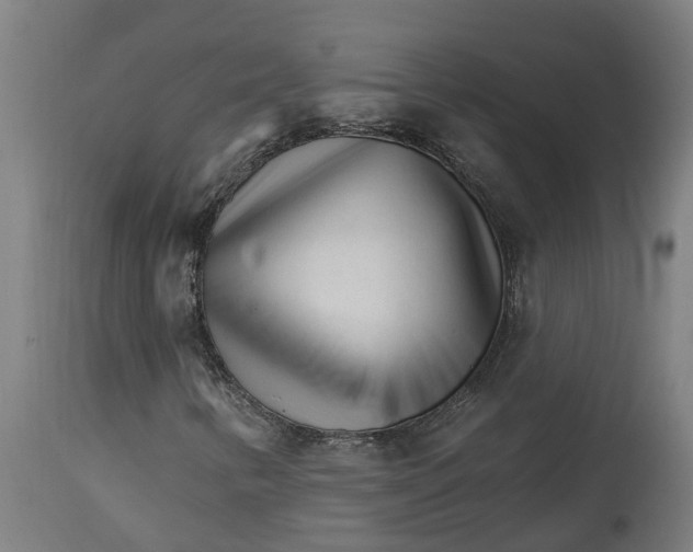 X0000114401346200911131356