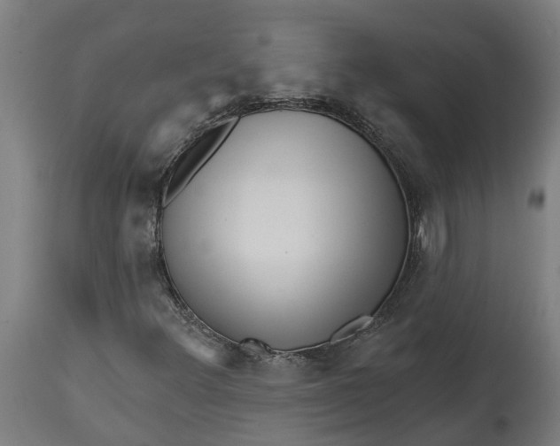 X0000114401348200911131356