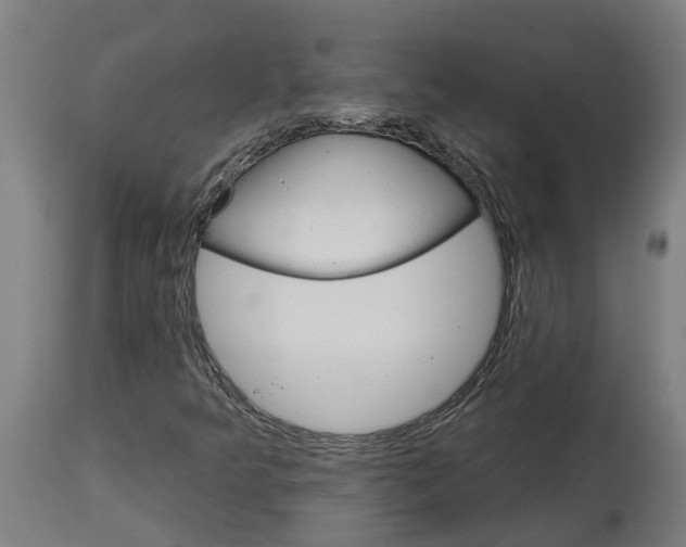 X0000114401349200911131356