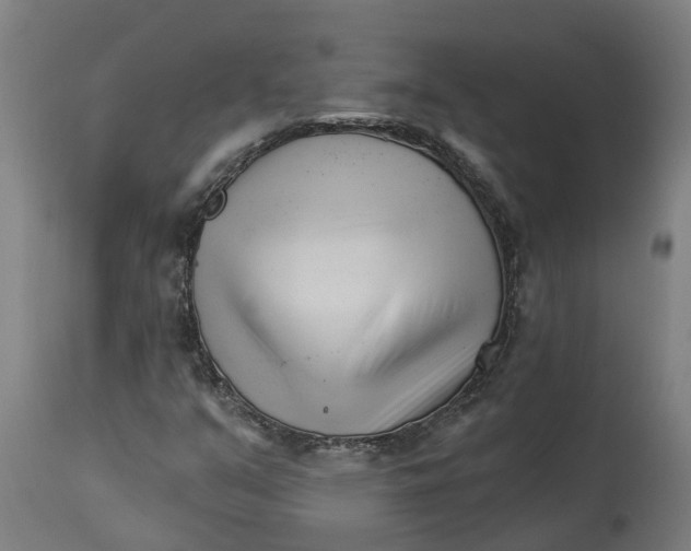 X0000114401351200911131356