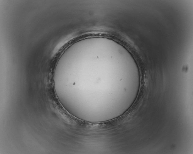 X0000114401352200911131356