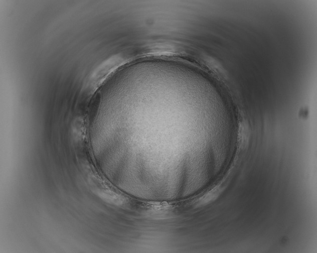 X0000114401353200911131356