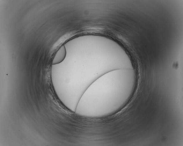 X0000114401354200911131356