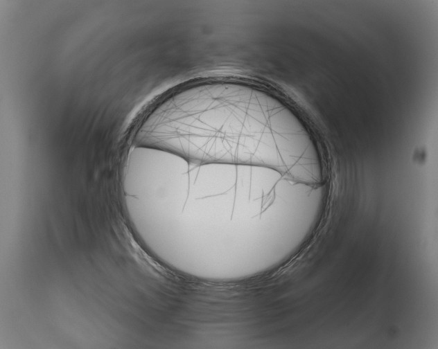 X0000114401356200911131356