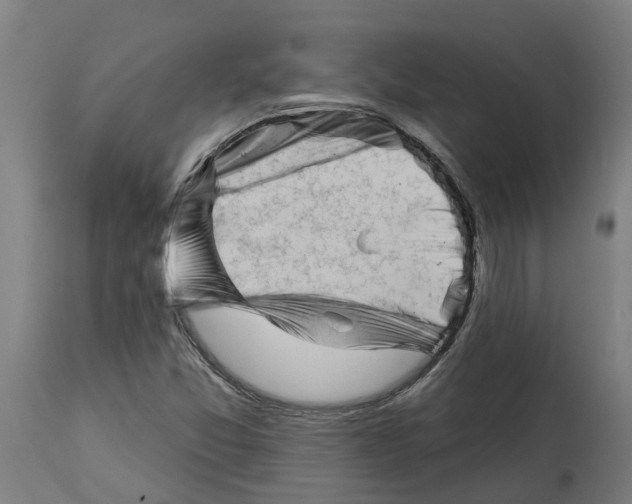 X0000114401357200911131356