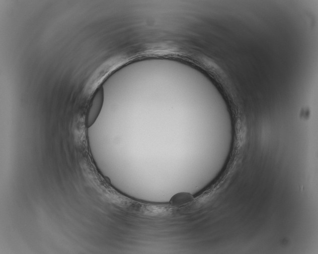 X0000114401361200911131356