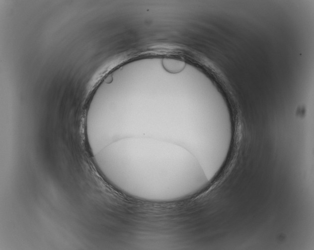 X0000114401362200911131356