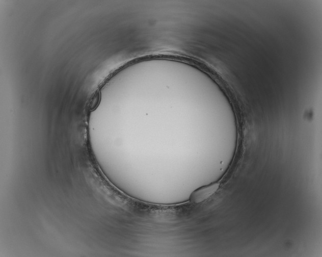 X0000114401363200911131356