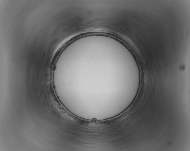 X0000114401364200911131356