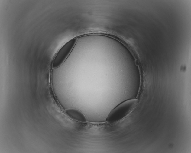 X0000114401365200911131356