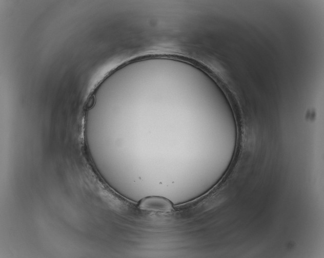 X0000114401366200911131356