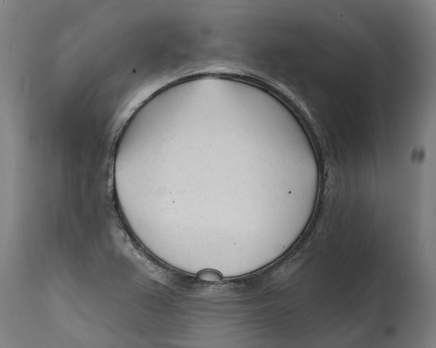 X0000114401367200911131356