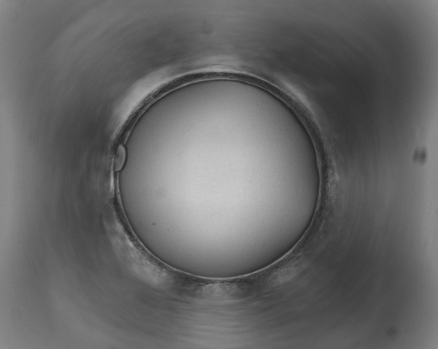 X0000114401368200911131356