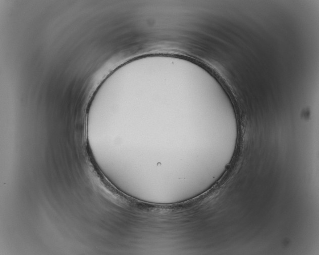 X0000114401371200911131356