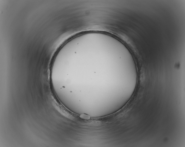 X0000114401372200911131356