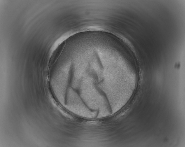 X0000114401373200911131356