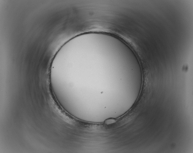 X0000114401375200911131356