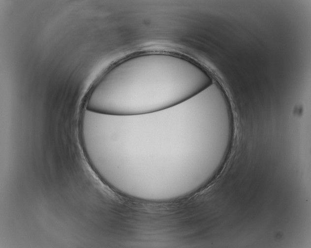 X0000114401376200911131356