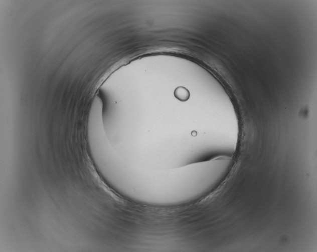 X0000114401377200911131356